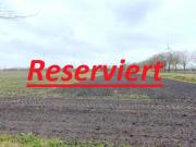 Ca. 1 ha Ackerland in Neusustrum zu verkaufen! 