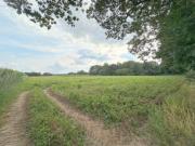 Ca. 0,9 ha Ackerfläche in Haselünne-Lehrte zu verkaufen 