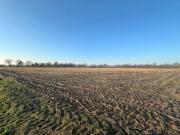 Ca. 3,3 ha Ackerfläche in Rhede-Brual zu verkaufen 