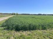 Kleine Ackerfläche mit großem Potenzial – 1.665 m² für Gartenliebhaber & Selbstversorger